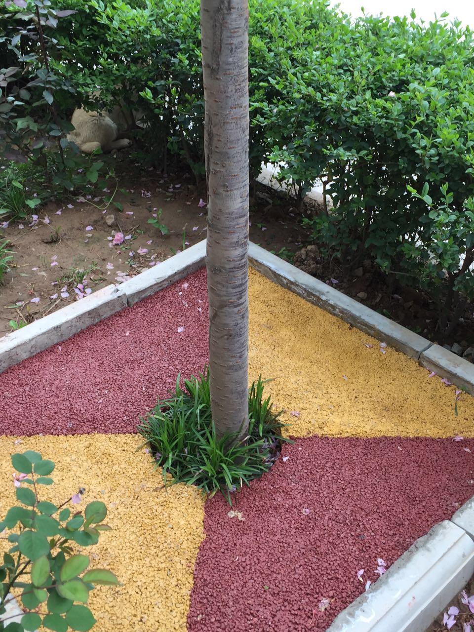 鳳縣樹池樣例