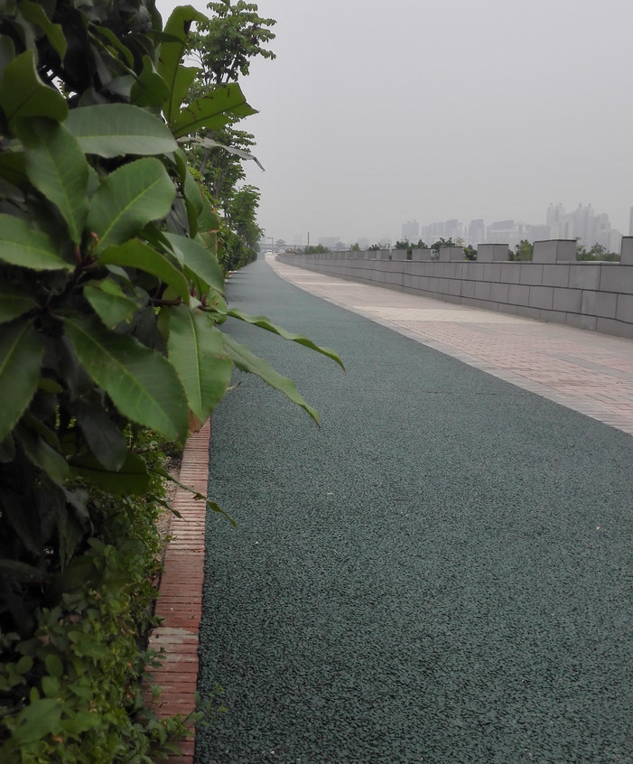 高新一路至三路透水健康步道