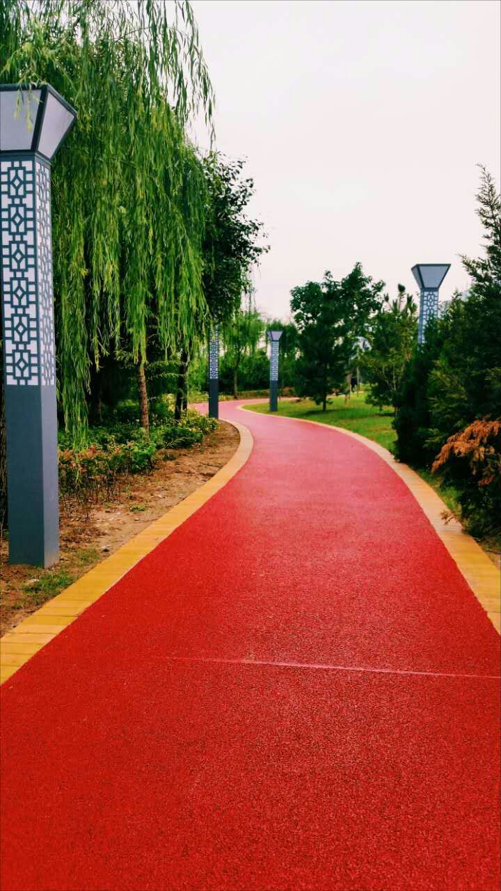 高新一路至三路透水健康步道