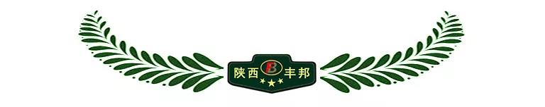 豐邦員工喜換迷彩式工服，不忘軍隊(duì)培育恩情
