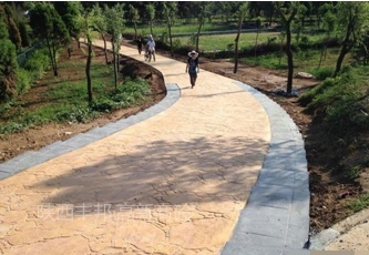 金臺綠地楊樹林壓花地坪