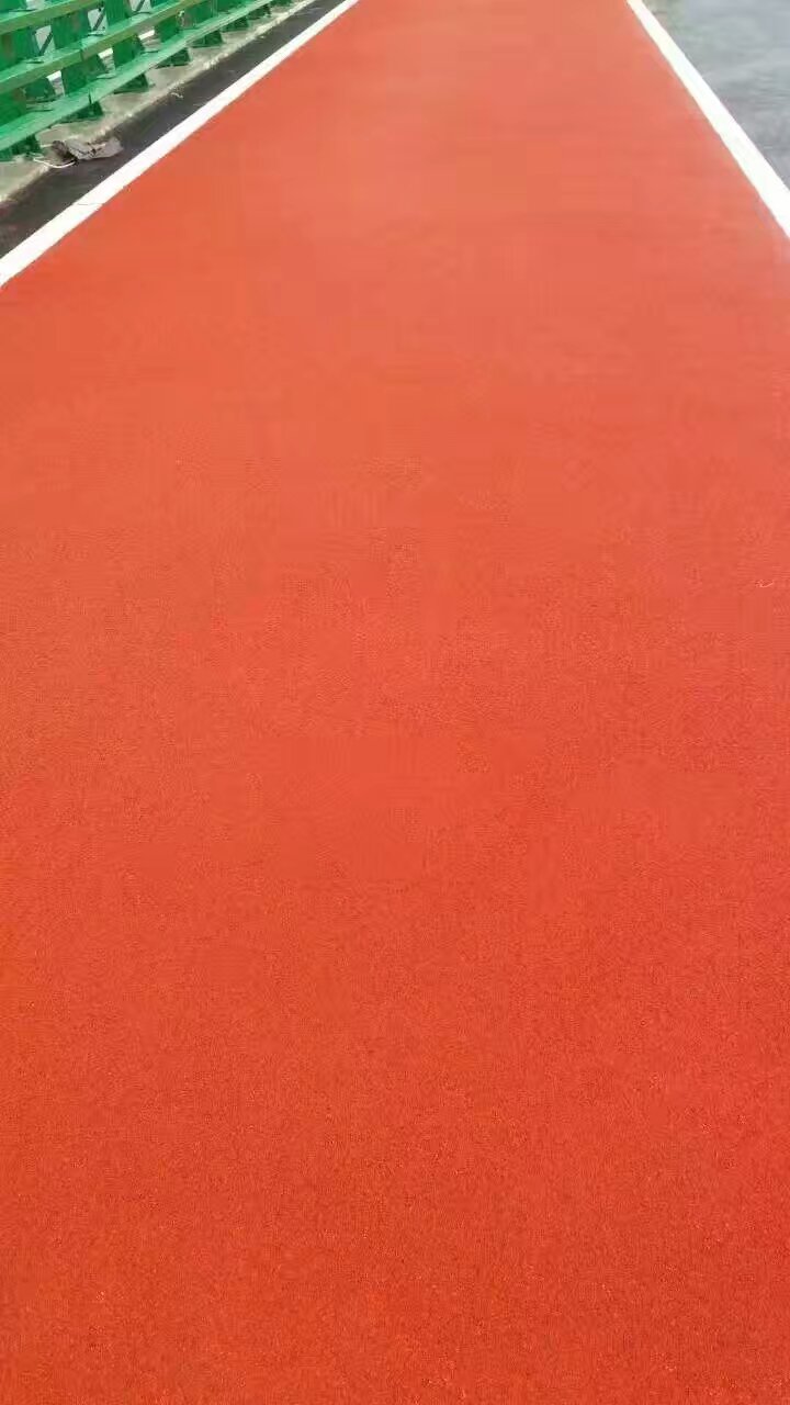 豐邦運動場坪展示