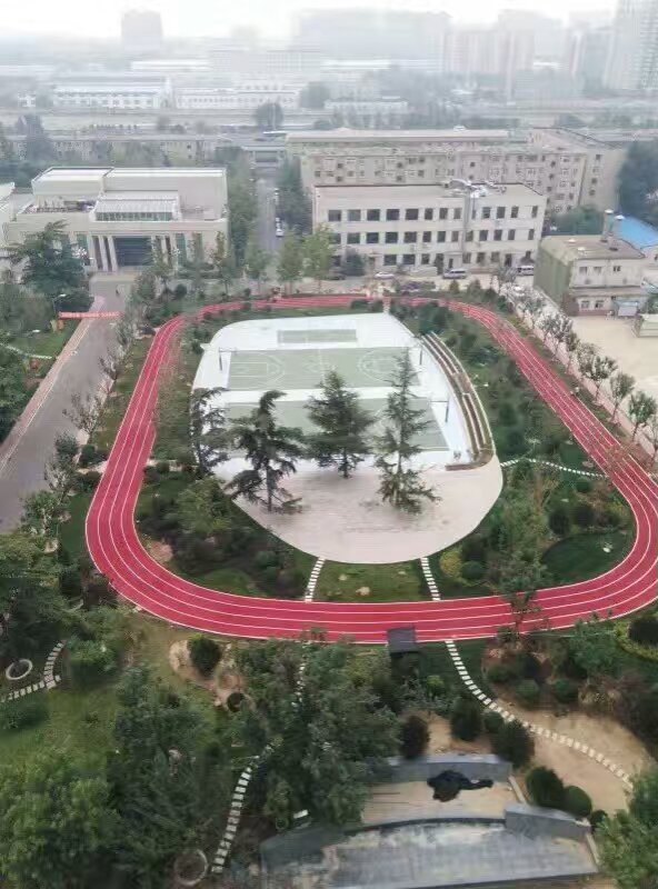 豐邦運動場坪展示