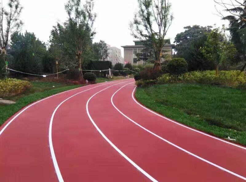 豐邦運動場坪展示