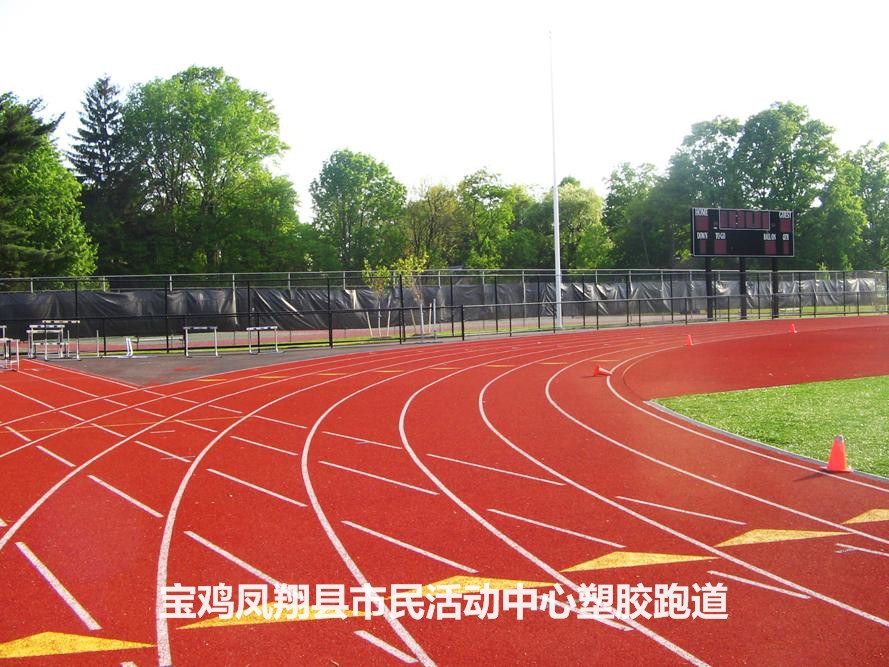 豐邦運動場坪展示