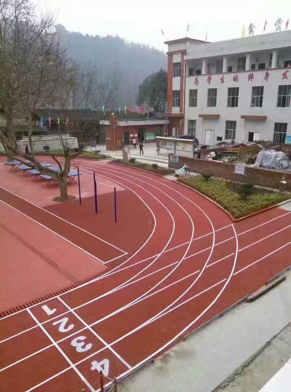 豐邦運動場坪展示
