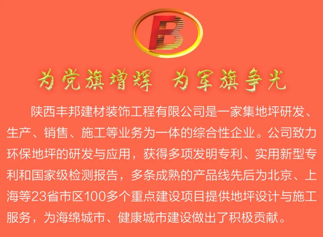 陜西豐邦黨支部喜評(píng)五星級(jí)黨組織