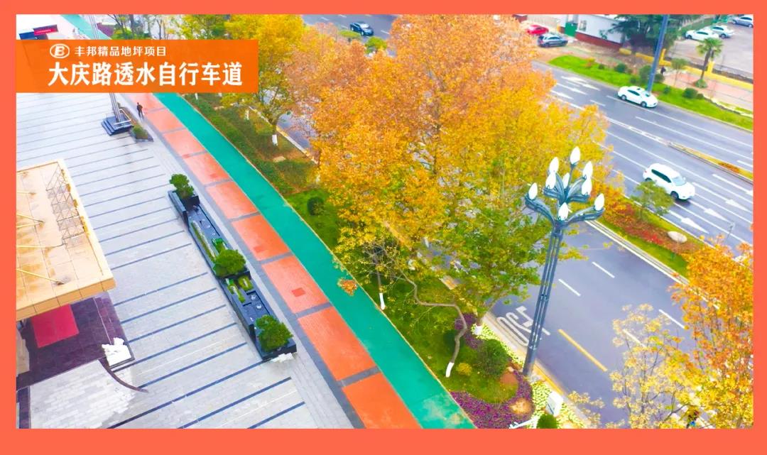 陜西豐邦黨支部喜評(píng)五星級(jí)黨組織