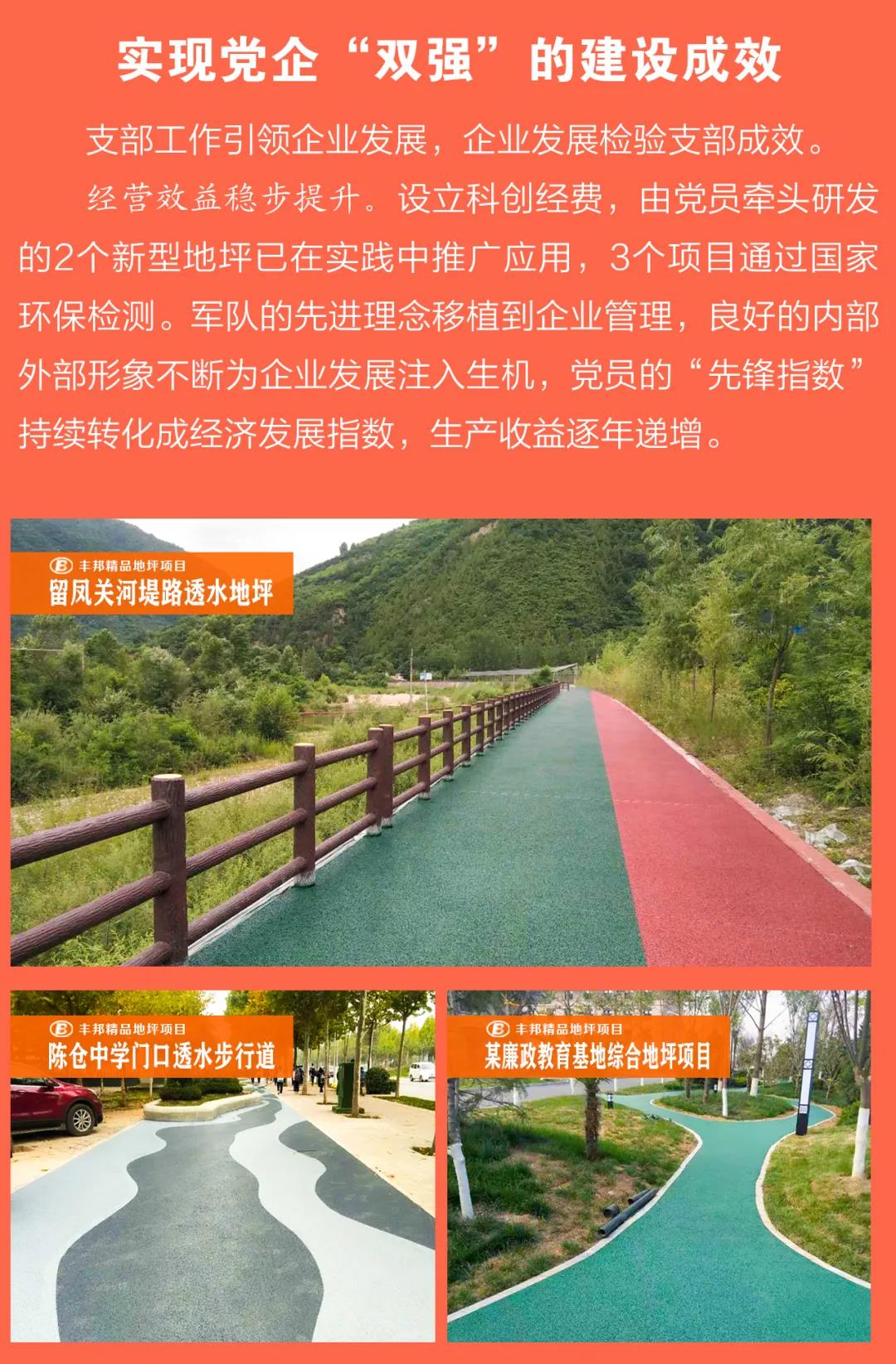 陜西豐邦黨支部喜評(píng)五星級(jí)黨組織